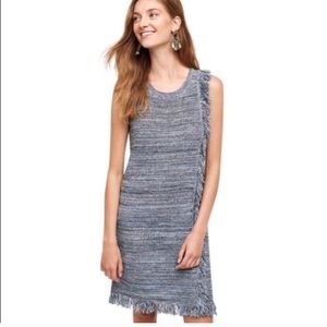 Holding Horses Knit Fringe Sweater Dress